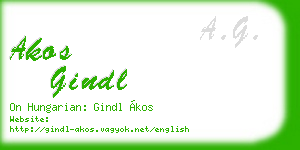 akos gindl business card