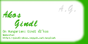 akos gindl business card